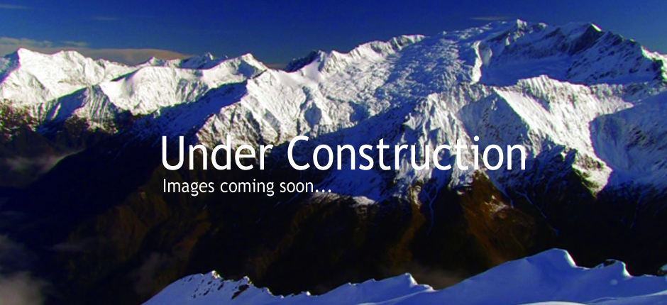 http://whitehorse.co.nz/?p=280